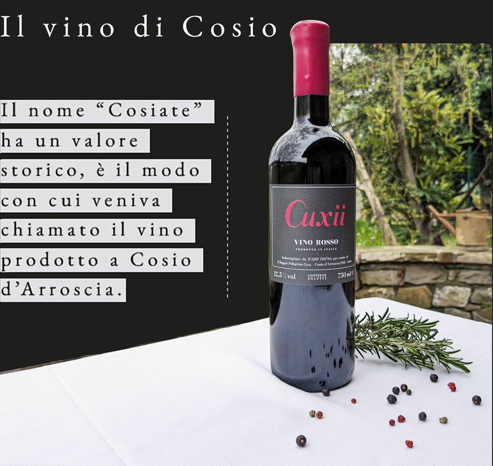 il_vino_di_Cosio